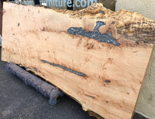 Live edge curly maple 90x33-39 one piece slab epoxy filled
