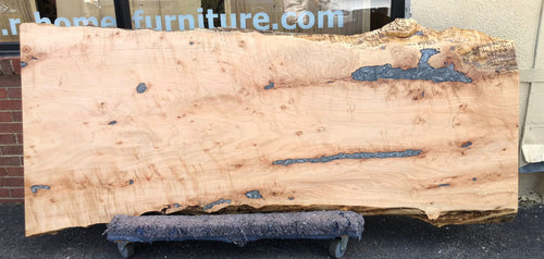 Live edge curly maple 90x33-39 one piece slab epoxy filled