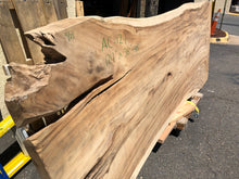 Live edge acacia wood slab 38-48" wide X 124" long AC-124