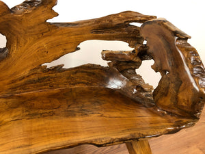 Teak root wood bench freeform live edge