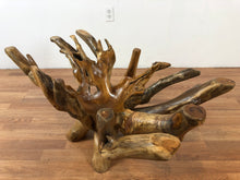 Teak wood root coffee table