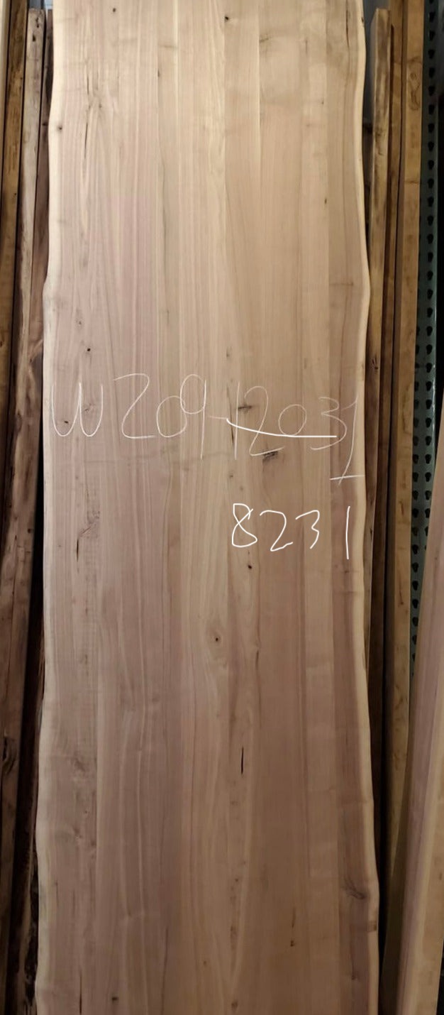 W209-12031