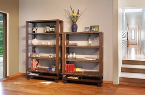 Living room bookcase and cabinet