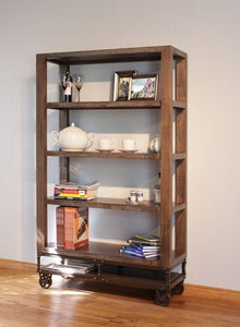 Living room bookcase and cabinet