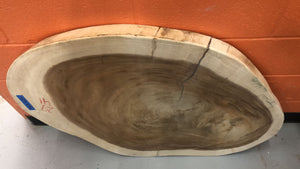 FA-O-4129 Live edge acacia wood crosscut slab