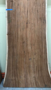 FA37-12644 Live edge acacia wood (single slab) 126"x44"