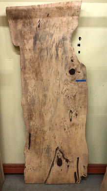 FTD1-9736 Live edge tamarind wood slab
