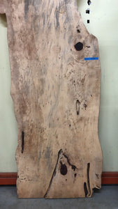FTD1-9736 Live edge tamarind wood slab