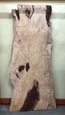 FTD3-9743 Live edge tamarind wood slab