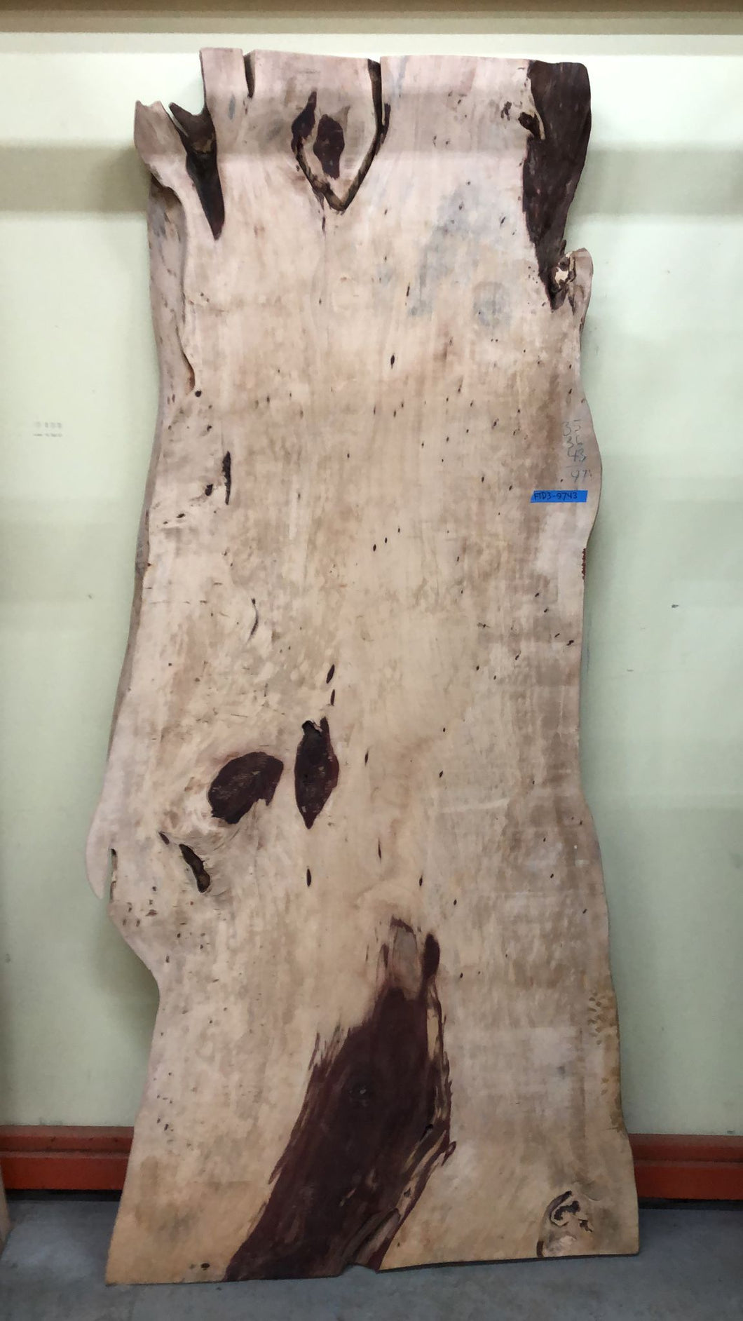 FTD3-9743 Live edge tamarind wood slab