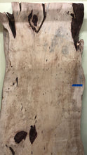 FTD3-9743 Live edge tamarind wood slab