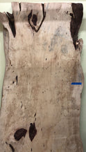 FTD3-9743 Live edge tamarind wood slab