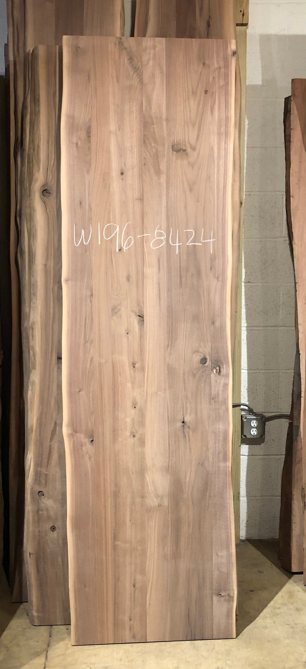 W196-8424