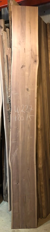 W227-12015 Live edge walnut wood 120x15