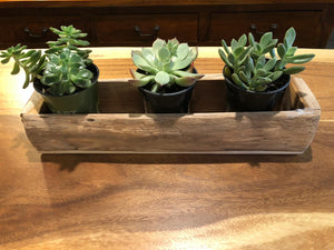 Rustic teak wood container for flowers