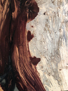 Live edge tamarind wood slab