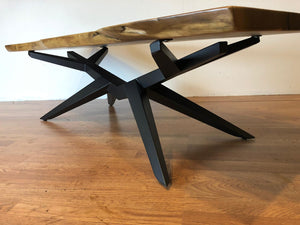 Live edge walnut coffee table with modern contemporary base