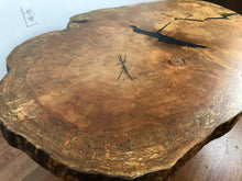 One of a kind spalted maple wood cookie/crosscut oval/round live edge coffee table top with epoxy filled and pedestal metal base