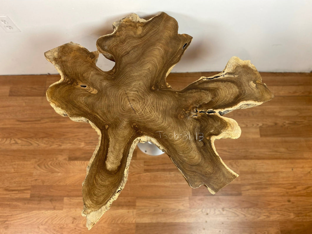 TS06 Live edge free form teak root wood slab 35