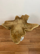 TS09 Live edge free form teak root wood slab 25" x 25"