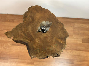 TS13 Live edge free form teak root wood slab 21" x 22"