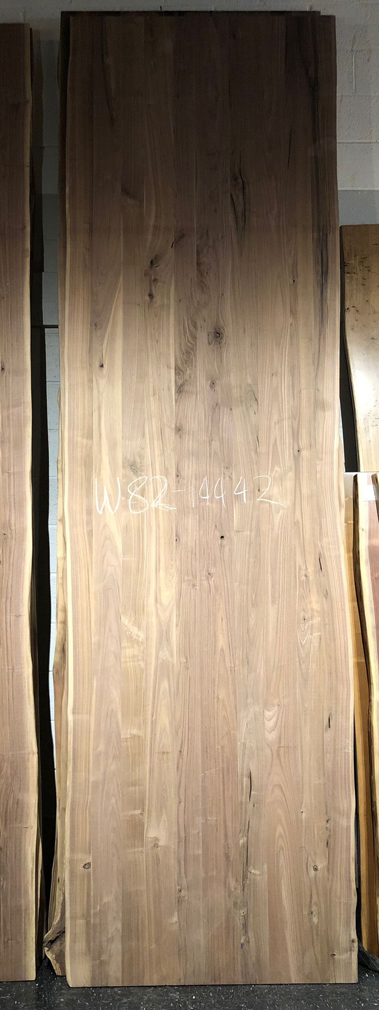 w82-14442 Live edge walnut wood 144x42